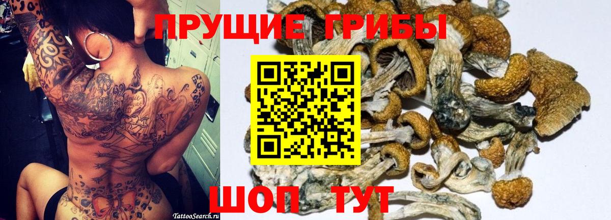 Свободный  Псилоцибиновые грибы Cubensis  Галлюциногенные грибы мицелий  Вход с VPN 